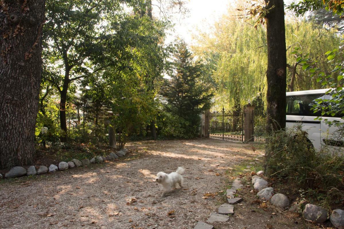 Al Parco Bed and Breakfast Curtatone Buitenkant foto
